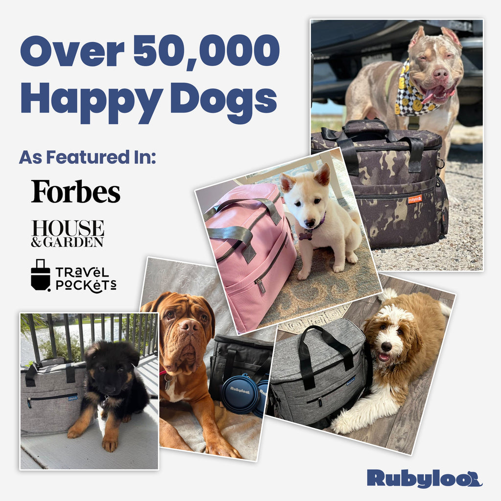 PawRide Dog Travel Bag
