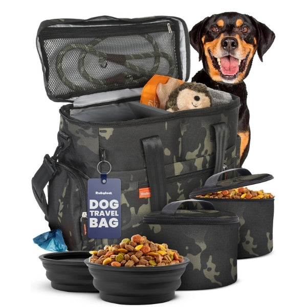 PawRide Dog Travel Bag