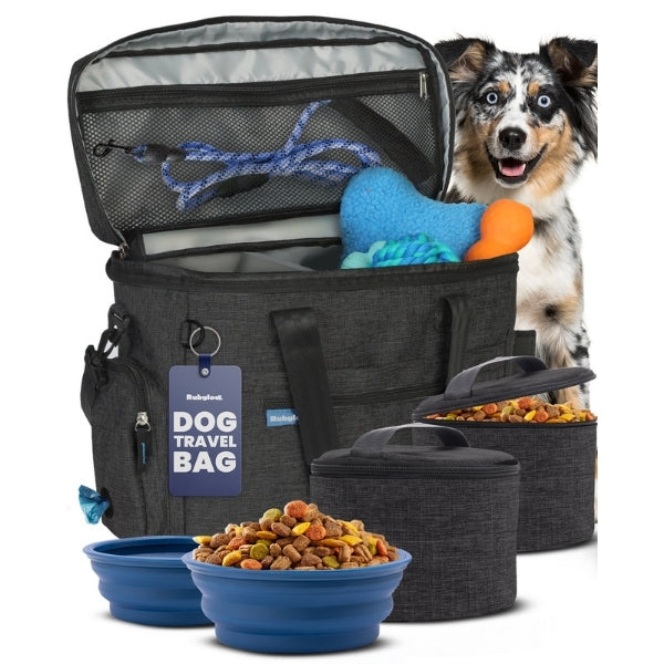 PawRide Dog Travel Bag
