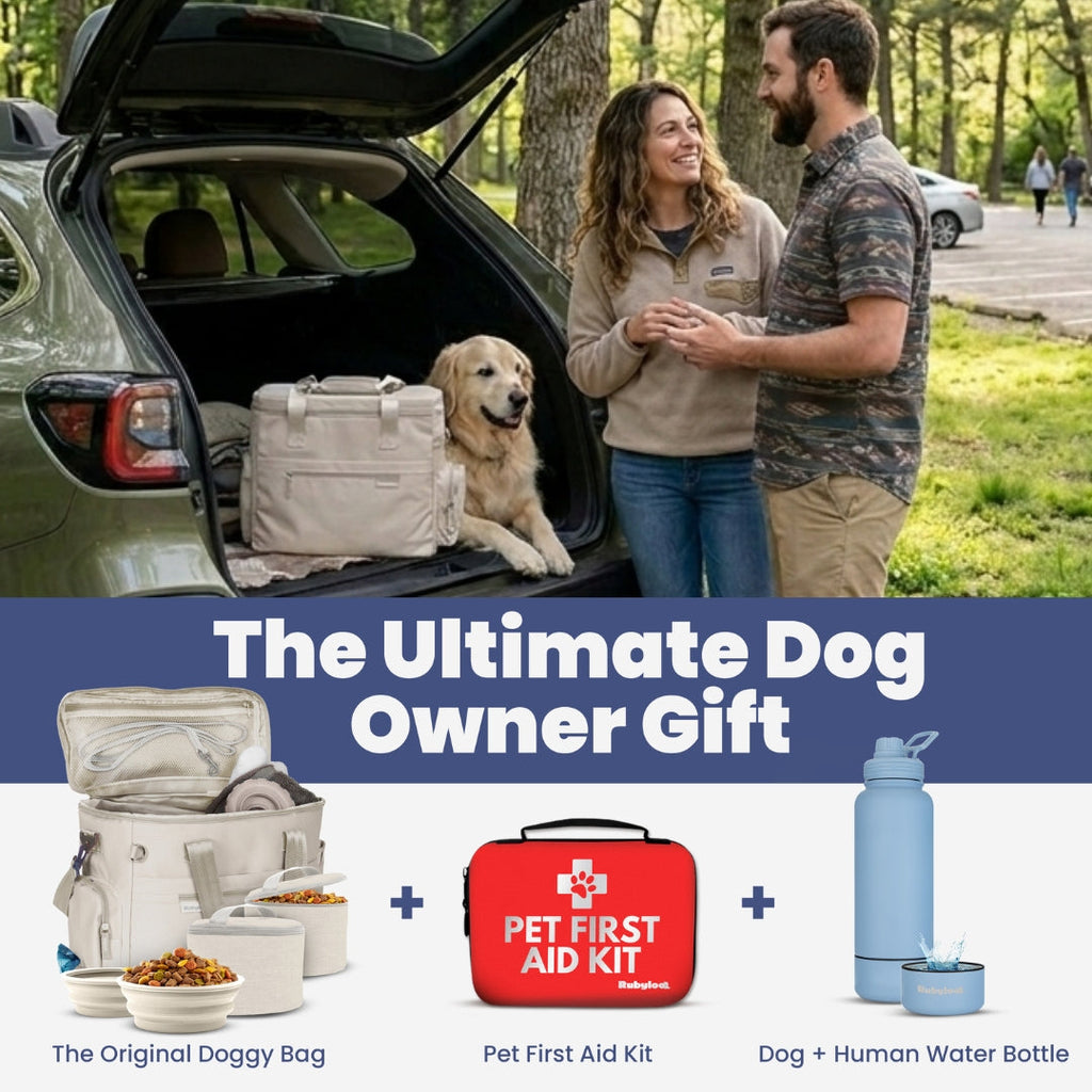 PawRide Dog Travel Bag